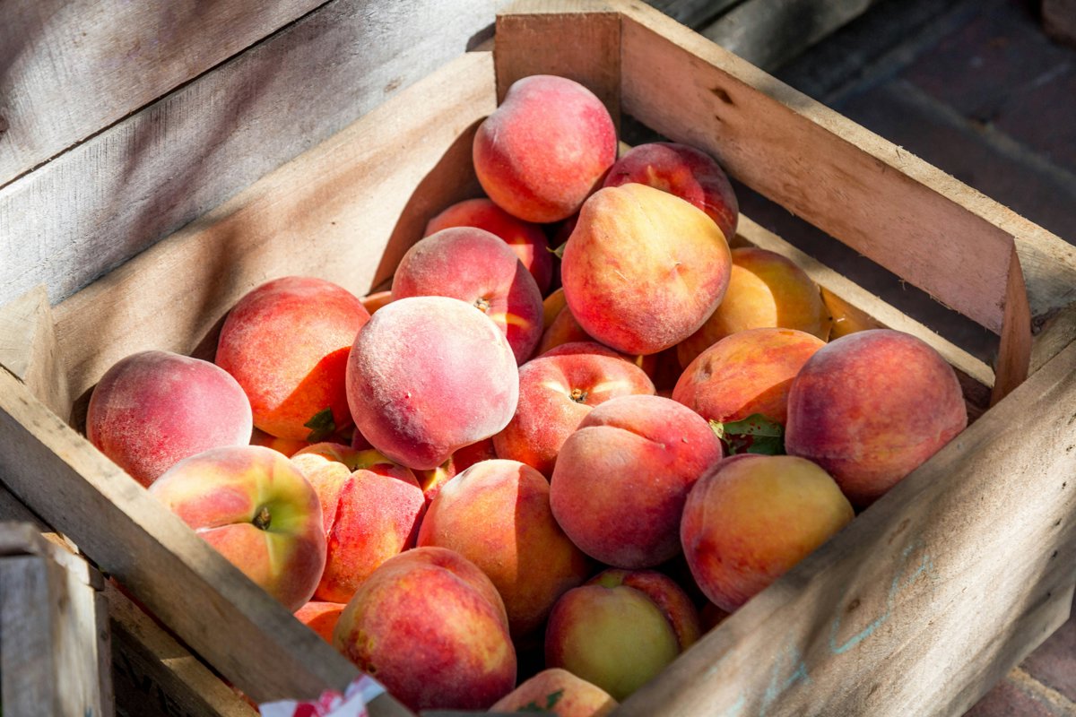 La Unión de Uniones advierte sobre la presión del comercio exterior en el mercado de fruta de hueso y verano