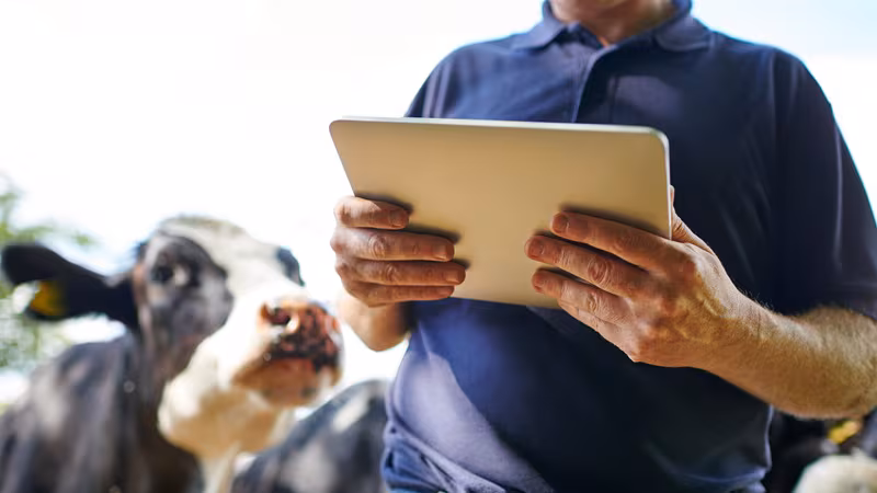 La agricultura digital no quiere soluciones para todos: así gana terreno el modelo a medida