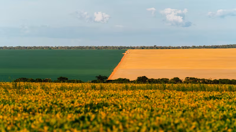 Los agricultores de Brasil pesan en el futuro de la energía renovable de la UE: el marco post-2030 se pone a prueba