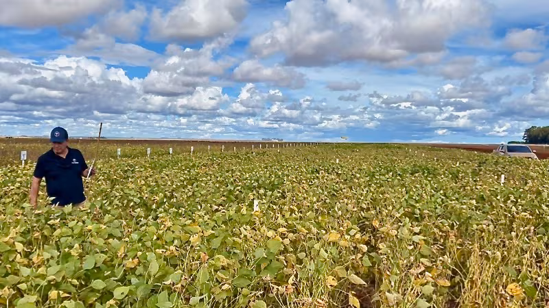 Micropep da el salto en Brasil y Paraguay: pide aprobación para su biofungicida peptídico
