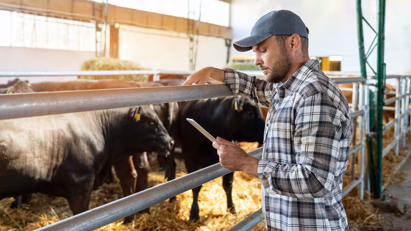 Una startup ganadera ya es rentable: Cattle Tech levanta 10 millones en su Series B sin tocar el capital riesgo