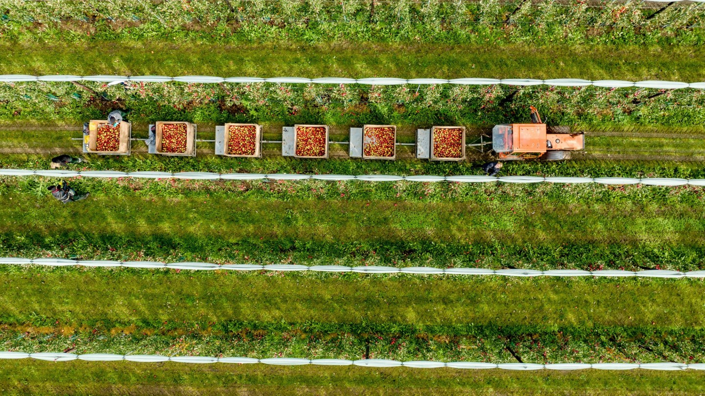 El plan agrario de 25 años del Reino Unido convence: el campo apoya la hoja de ruta, pero duda de cómo se financiará