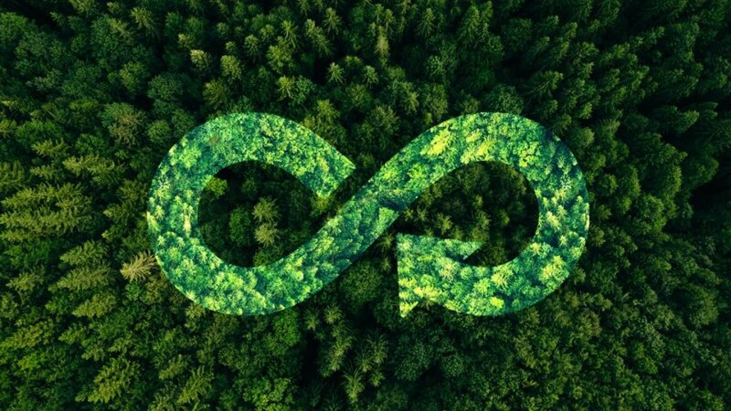 Enable Earth convierte residuos agrícolas de Tailandia en ingresos con un modelo circular de 3 en 1