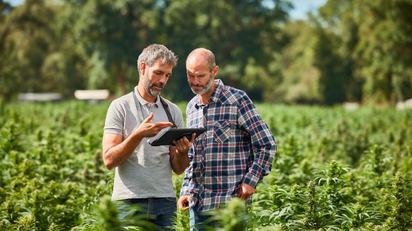 SAI Platform lanza Regenerating Together para arreglar el gran problema de medición en la agricultura