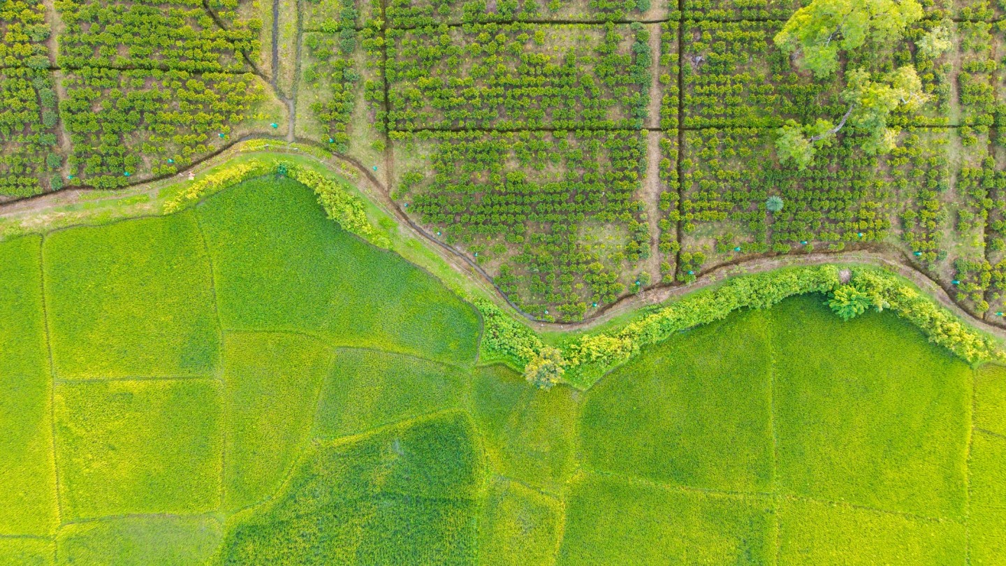 Vinarice limpia el arroz y supera objetivos con su apuesta de baja emisión: más cosecha y más retorno