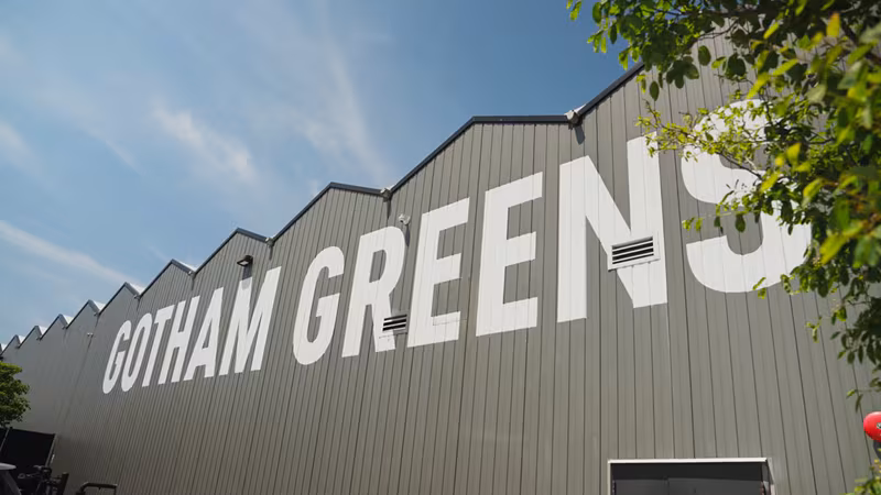 Gotham Greens cumple 15 años: la receta de éxito de la granja vertical que quiere cambiar la alimentación urbana