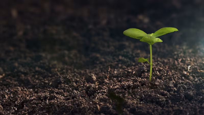 InVivo lanza un producto de zeolita que busca recortar un 30% el uso de nitrógeno en la agricultura