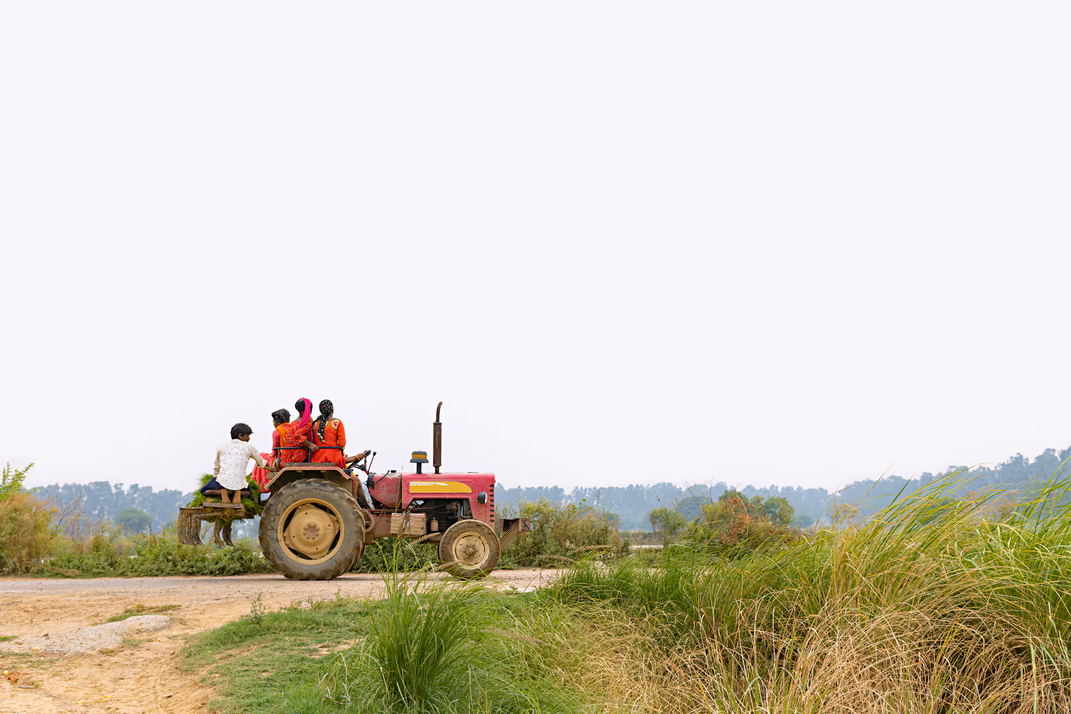 India activa un plan a varias bandas para blindar sus cultivos ante el golpe de El Niño