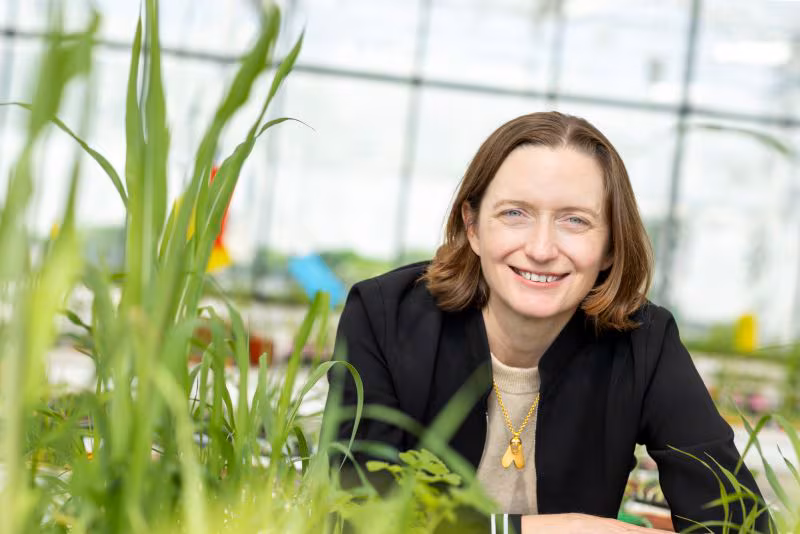 Moa se afianza: quiere convertirse en la gran referencia de la innovación en herbicidas