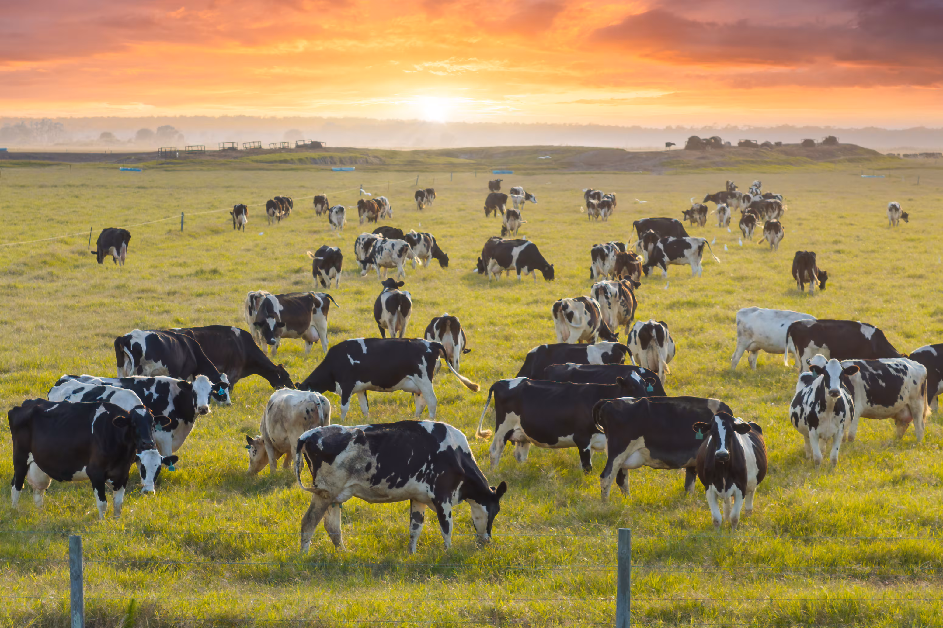 Nueva Zelanda cede ante los agricultores: importantes cambios en la reforma de gestión de recursos