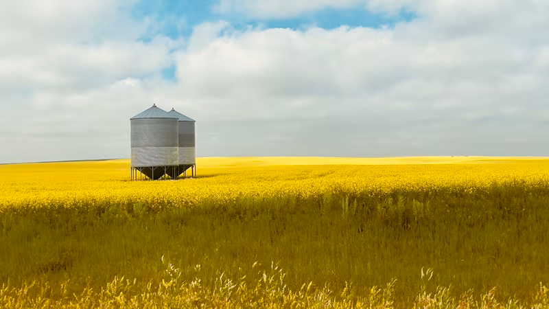 Nutrien enseña su apuesta por la canola en Ag in Motion: innovación para el campo canadiense