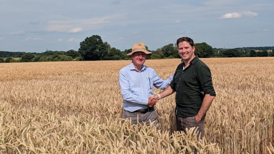 Wild Bio se planta ante Big Seed: compra en Reino Unido a un obtentor de trigo y acelera su salto agrario