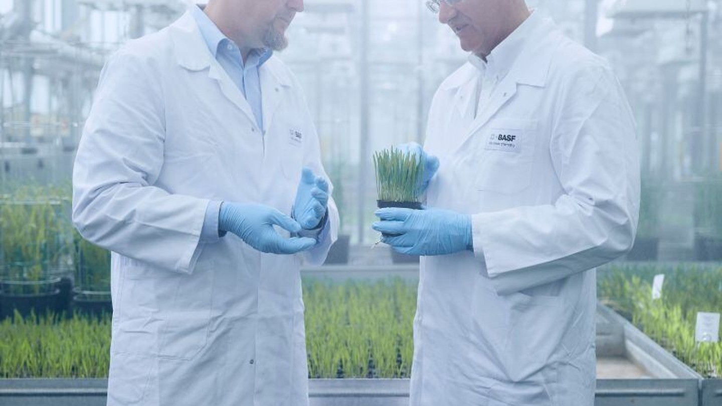 BASF dispara sus volúmenes de protección de cultivos mientras prepara la salida a bolsa de Ag Solutions