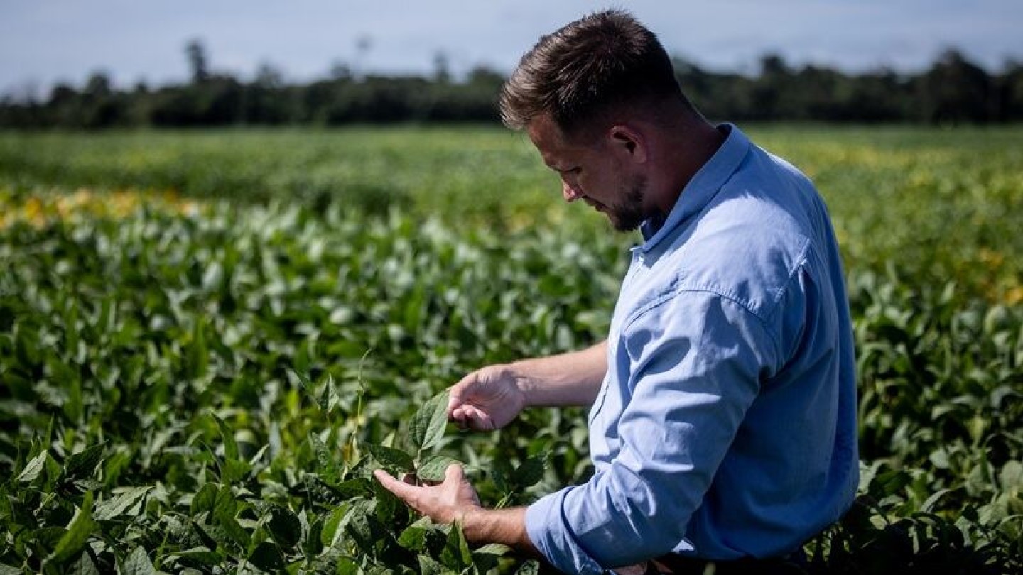 BASF mueve ficha y cubre un hueco en herbicidas con Replexor Active, su nuevo inhibidor PPO