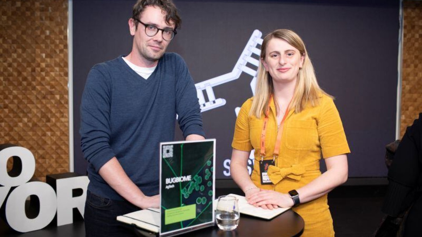 BugBiome da con la fórmula para frenar al escarabajo de la colza con un proyecto de 500.000 libras respaldado por Innovate UK BugBiome da con la fórmula para frenar al escarabajo de la colza con un proyecto de 500.000 libras respaldado por Innovate UK