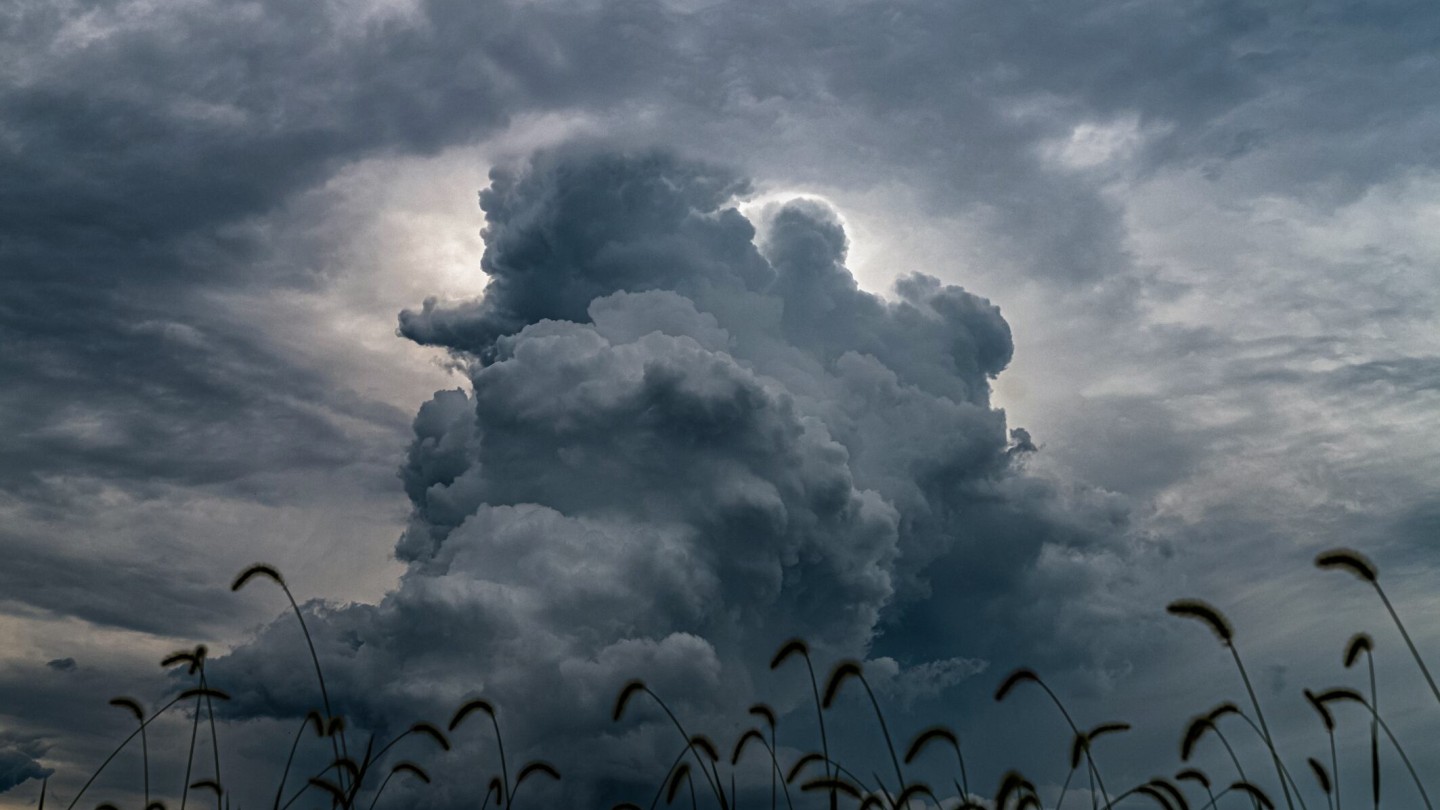 El Niño reaviva la volatilidad de los fertilizantes: los analistas alertan de nuevos vaivenes en precios