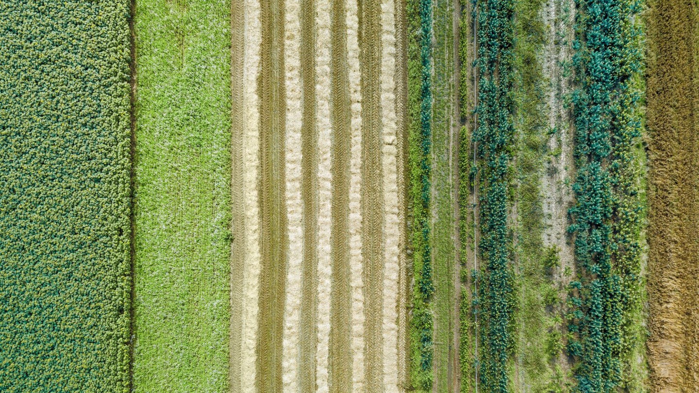HowGood y Ethan Soloviev señalan la pieza que falta en la agricultura regenerativa: la financiación