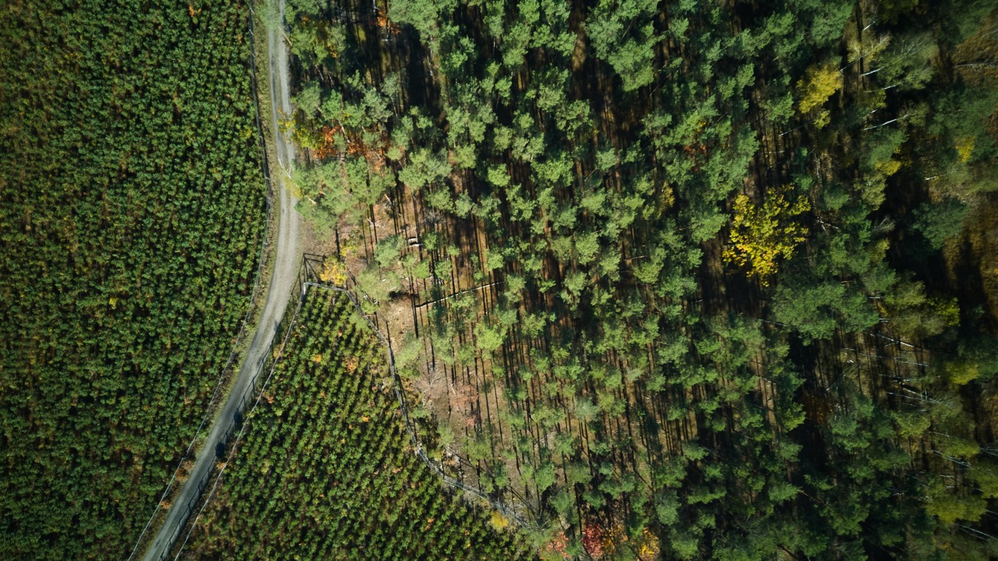 La UE bendice el carbon farming: la industria aplaude, pero la demanda sigue siendo el gran muro