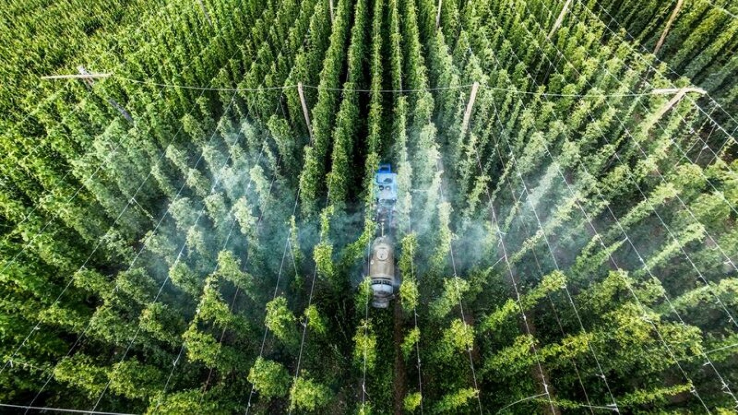 Wacker afina las formulaciones para cultivos: sus adyuvantes ayudan a proteger mejor las explotaciones